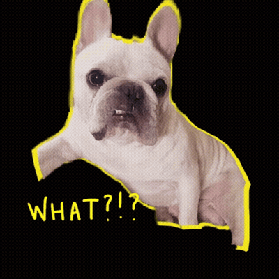 Bulldog And Puppy Sitting Together GIF