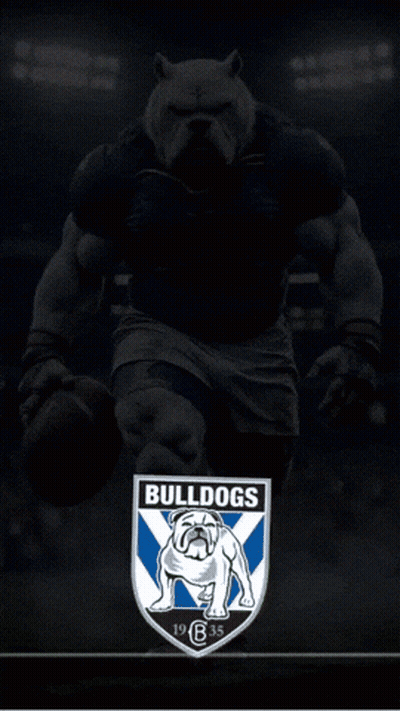 Bulldog Holding Football With Word Bulldogs GIF