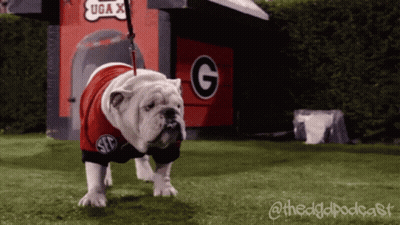 Bulldog in G Shirt with Doghouse