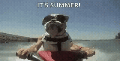 Bulldog In Sunglasses Riding Jet Ski On Water GIF