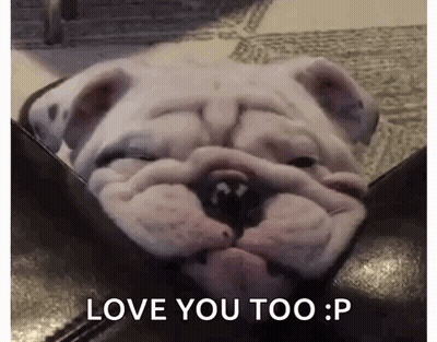 Bulldog Laying On Couch Saying Love You Too GIF