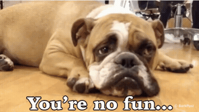 Bulldog Laying On Floor Saying You're No Fun GIF