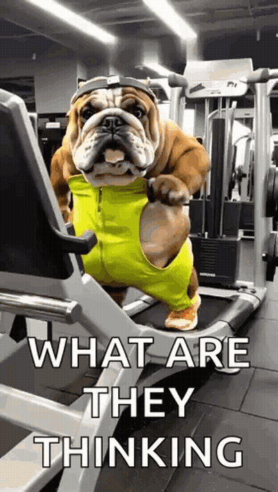 Gym GIFs