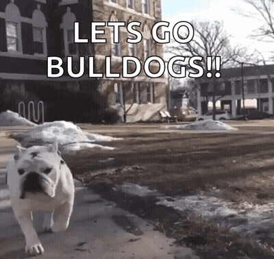 Bulldog Walking Down Sidewalk Let's Go Bulldogs GIF