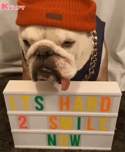 Bulldog With Hat And Chain Holding Sign Saying It's Hard 2 Smile Now GIF