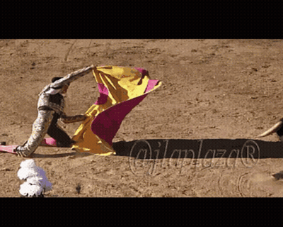 Bullfighting Torero GIF