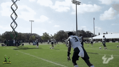 Bullpen Logo On Football Field GIF