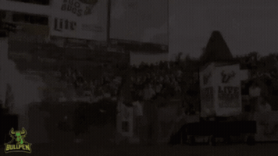 Bullpen Logo On Football Field GIF