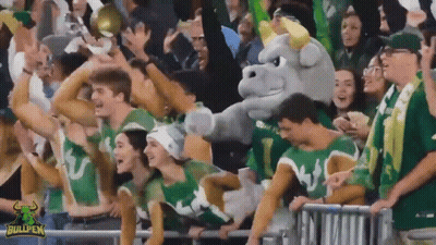 Bullpen Mascot Cheered By Crowd GIF