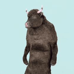 Bulls Floss Dance GIF