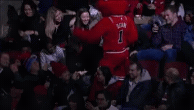 Bulls Mascot Dancing In Stands GIF