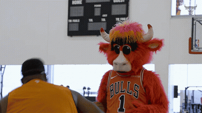 Bulls Mascot In Sunglasses And Jersey Number 1 GIF