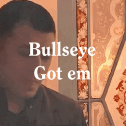Bullseye Got Em Gottem GIF