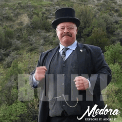 Bully Theodore Roosevelt GIF