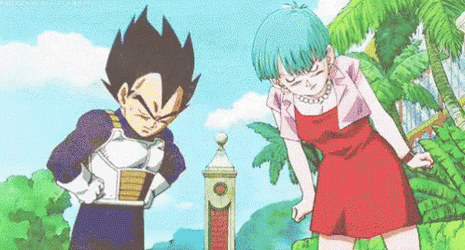 Bulma And Vegeta Arguing GIF