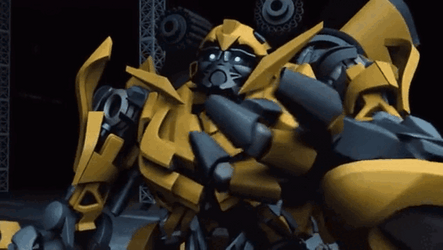 Bumblebee Telling Something GIF