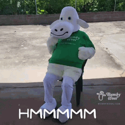 Bumby Wool Hmmmm GIF
