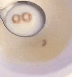 Bummer Cereal Soup Image GIF