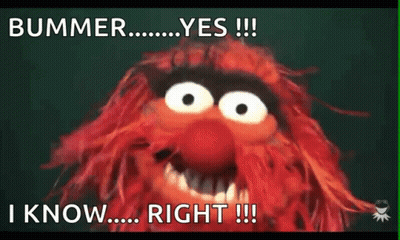 Bummer Yes !!! I Know Right !!! Is Written Next To A Picture Of A Muppet GIF