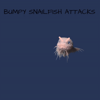 Bumpy Snailfish Attacks Drawing GIF