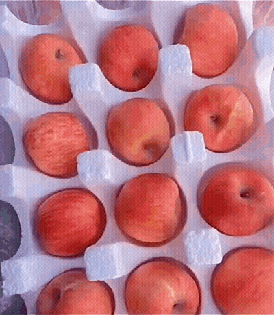 Bunch Of Apples In Styrofoam Tray GIF