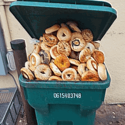 Bunch Of Bagel Got Wasted GIF