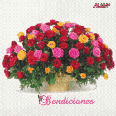 Bunch Of Flowers In Basket Saying Bendiciones GIF