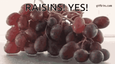 Bunch of Grapes Saying Raisins Yes