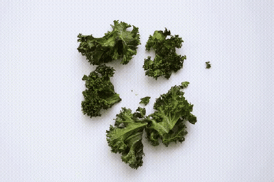 Bunch Of Green Leaves GIF
