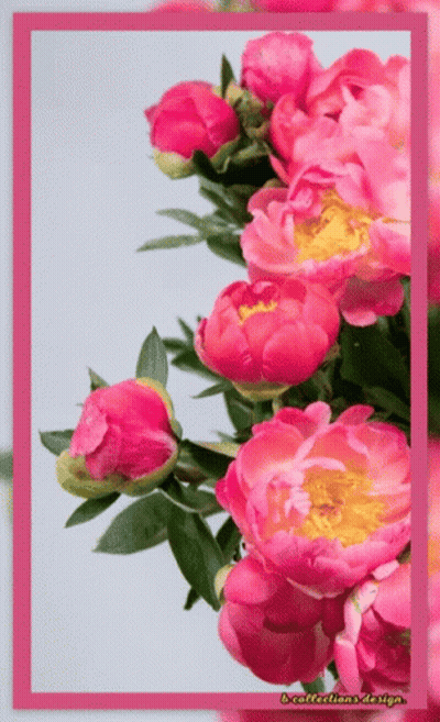 Bunch Of Pink Flowers With Pink Frame GIF