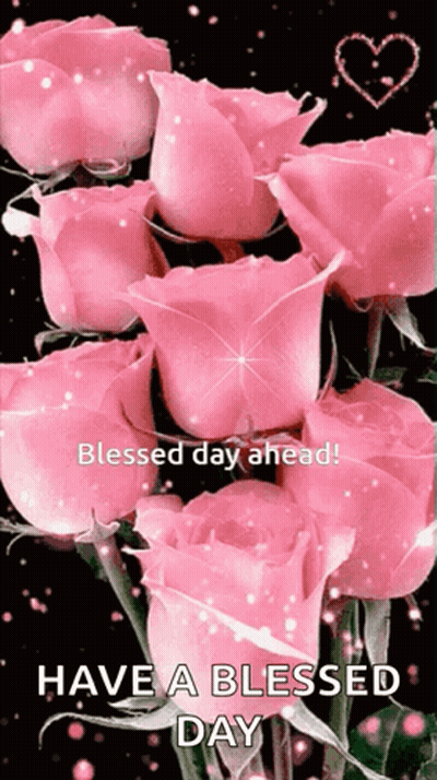 Bunch Of Pink Roses Blessed Day Ahead GIF