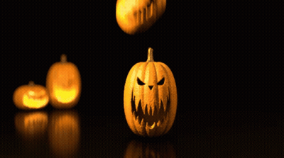 Bunch Of Pumpkins Laying On Table GIF