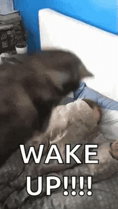 Bunny And Smiley Face Wake Up GIF