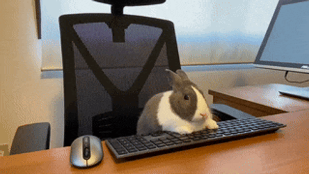 Bunny Keysmiht GIF