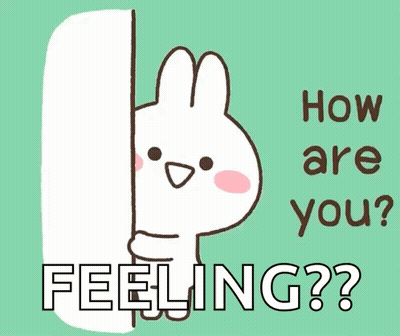 Bunny Peeking From Behind Wall Saying How Are You Feeling GIF