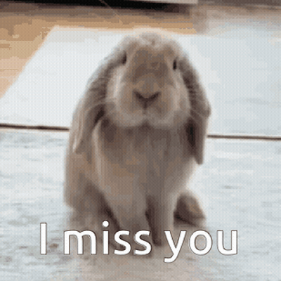 Bunny Rabbit Saying I Miss You GIF