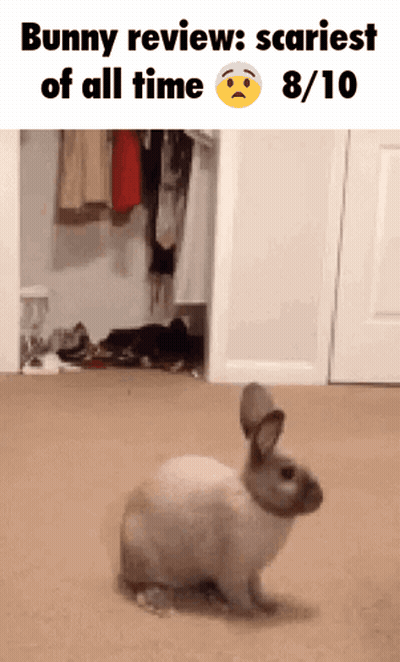 Bunny Review Scariest Of All Time GIF