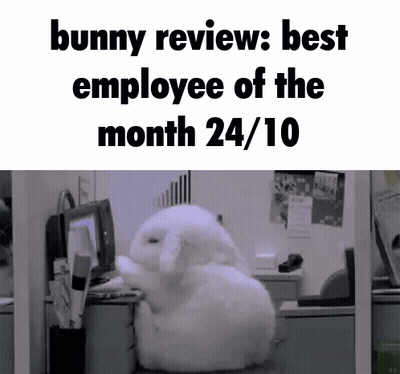 Bunny Saying Bunny Review Best Employee Of The Month 24/10 GIF