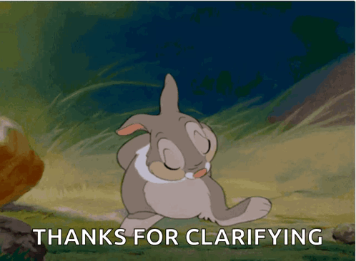 Bunny Saying Thanks For Clarifying GIF
