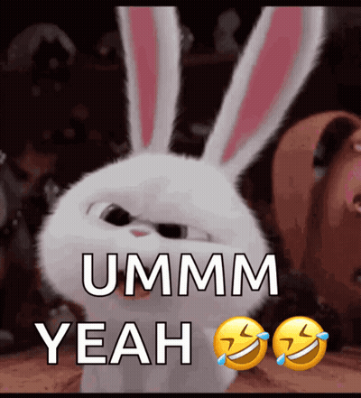 Bunny Saying Ummm Yeah GIF