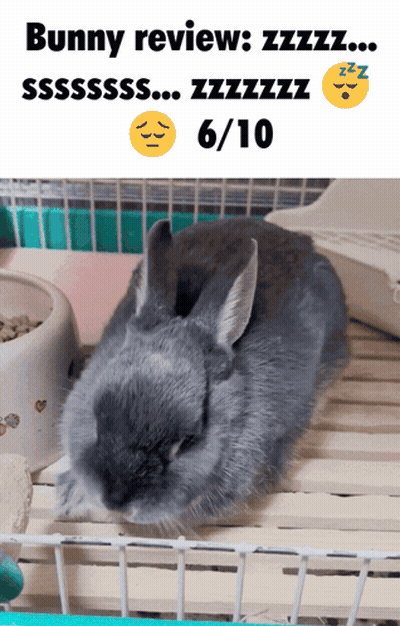 Bunny Sleeping In Cage With 6/10 Rating GIF