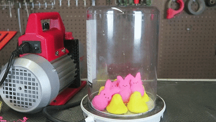 Bunny Vacuum Peeps GIF