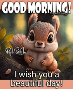 Bunny Wishes For Wonderful Day GIF