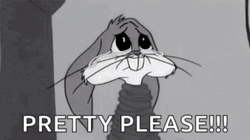 Bunny Yes Pretty Please GIF