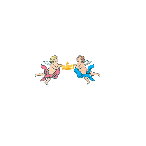 Buon Santo Stefano Text Sticker