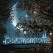 Buonanotte Animated Heart GIF