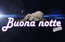 Buonanotte Sleeping Elephant GIF
