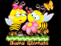 Buongiorno Bee Couple Funart