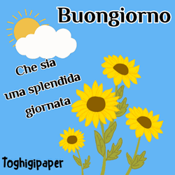 Buongiorno Sunflowers Computer Graphics GIF