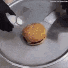 Burger Frozen Ice Cream Thanks I Hate It GIF